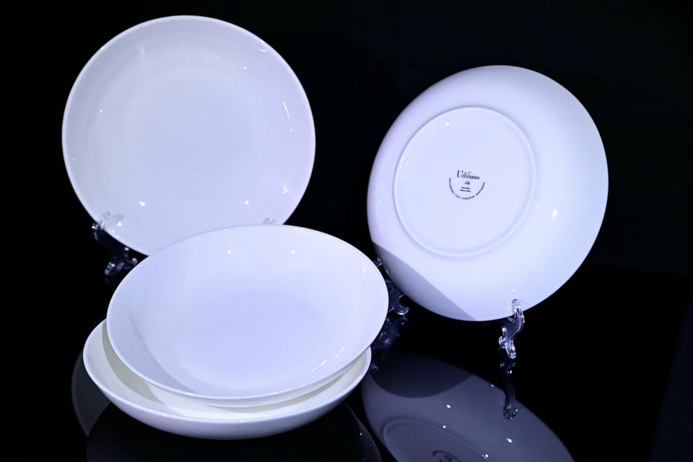 4 bone china pasta plates, 8.5 inch