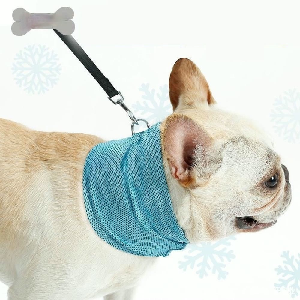 Cooling dog bandana, medium