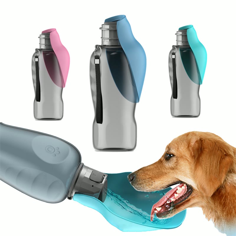 Dog water bottle with bowl, 800 ml