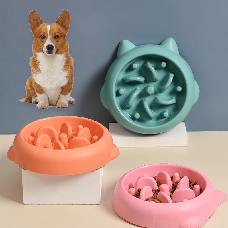 Slow feeder bowl